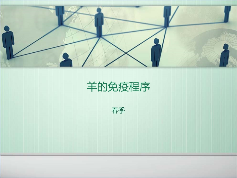 《羊的免疫程序》PPT课件.ppt_第1页