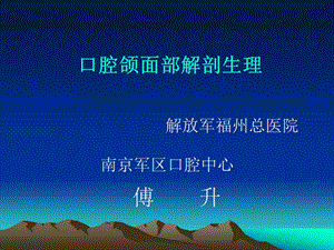 《口腔解剖》PPT课件.ppt