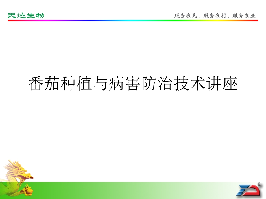 《番茄栽培技术》PPT课件.ppt_第1页