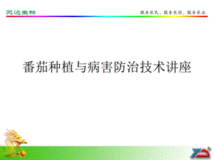 《番茄栽培技术》PPT课件.ppt