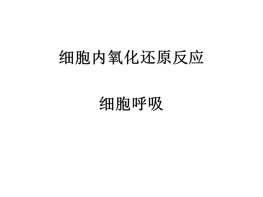 《羧酸循环》PPT课件.ppt_第1页