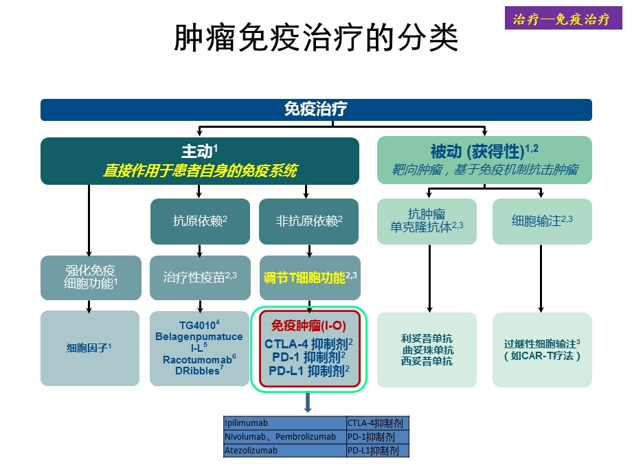 《肺癌免疫治疗》PPT课件.ppt_第2页