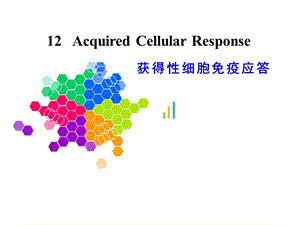 《细胞免疫应答》PPT课件.ppt