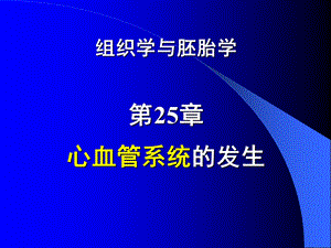 组织学与胚胎学25章节心血管系统发生.ppt