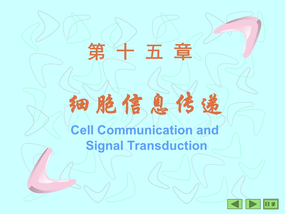 《细胞信息传递》PPT课件.ppt_第1页