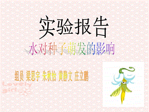 《种子发芽实验报告》PPT课件.ppt