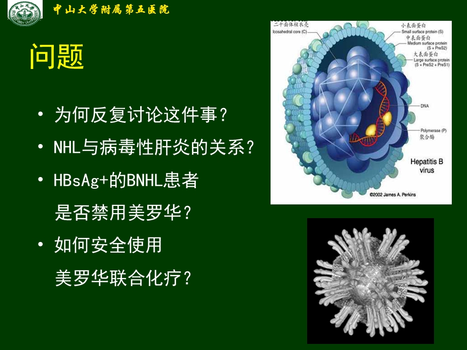 张红雨淋巴瘤合并乙肝治疗 .ppt_第2页