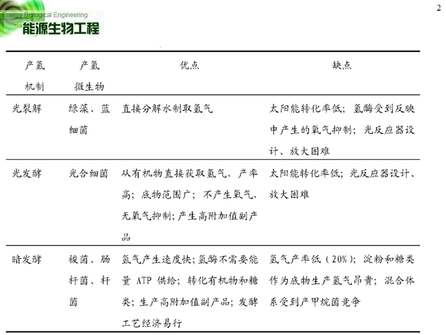 《生物制氢》PPT课件.ppt_第2页