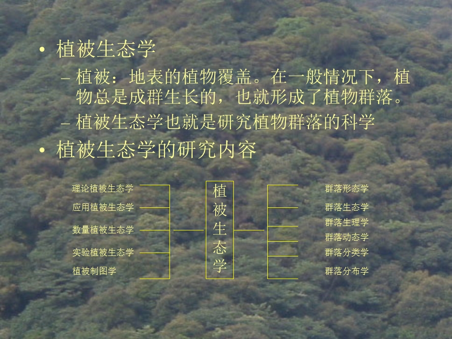 《植被生态学》PPT课件.ppt_第3页