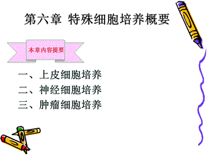 《特殊细胞培养》PPT课件.ppt