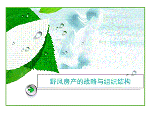 《组织结构诊断》PPT课件.ppt