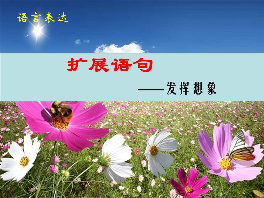 《扩展语句》PPT课件.ppt_第1页