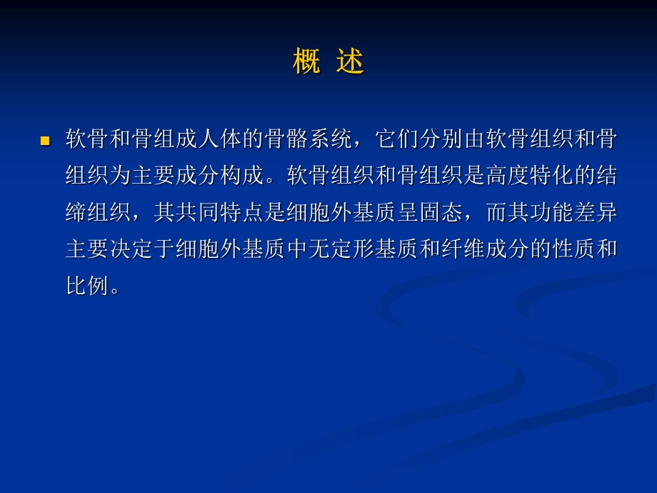 软骨和骨.ppt_第2页