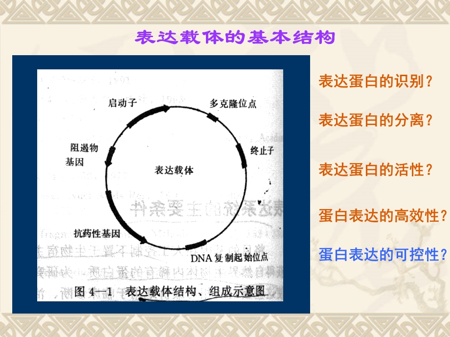 融合蛋白表达系统.ppt_第2页