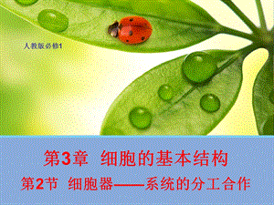 《生物细胞器》PPT课件.ppt