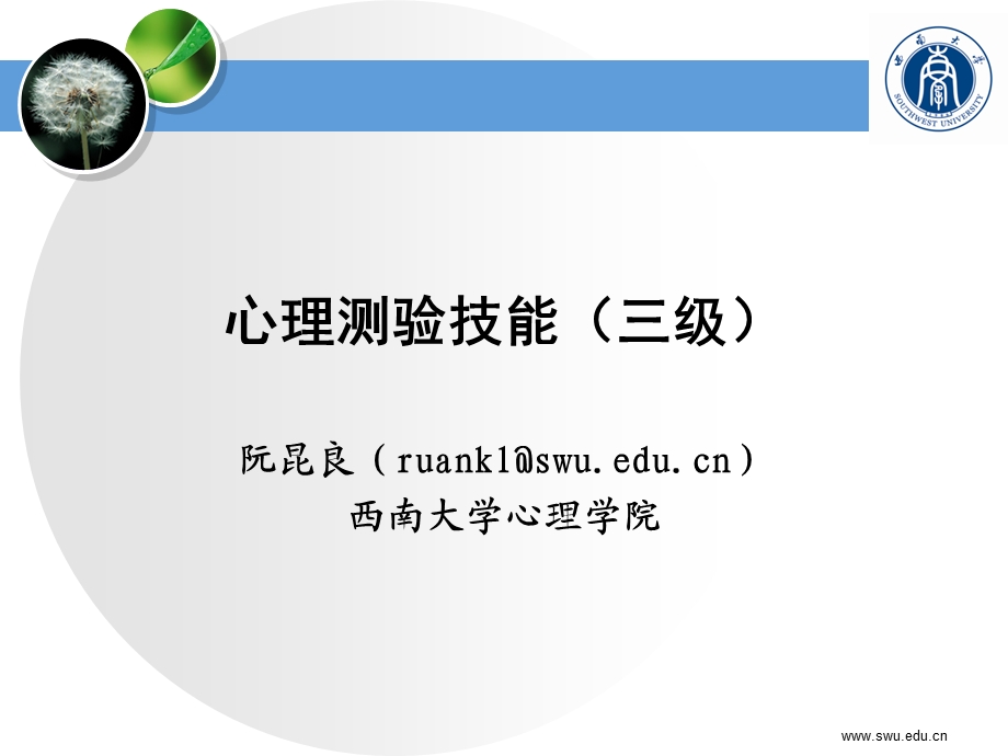 心理测验技能(三级)简化版12.ppt_第1页