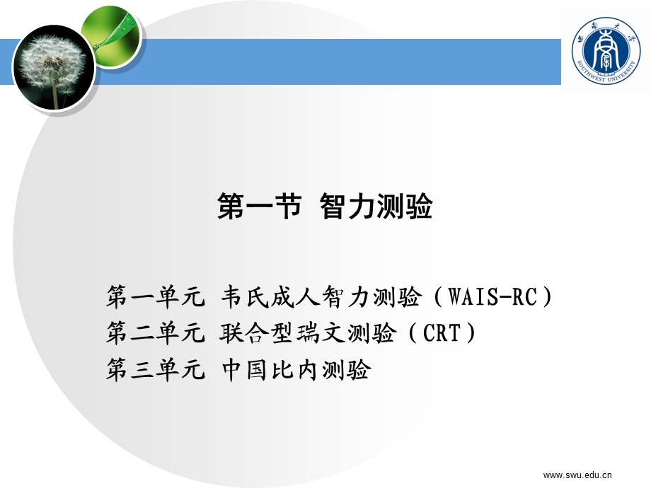 心理测验技能(三级)简化版12.ppt_第2页