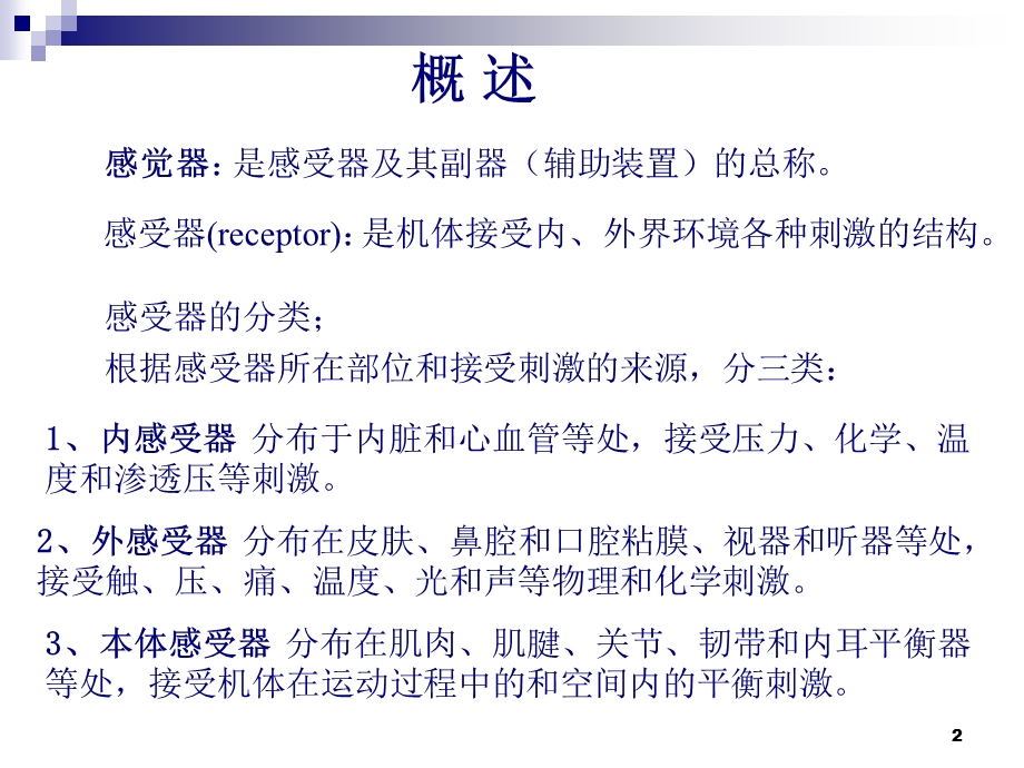 眼解剖学课件.ppt_第2页