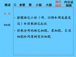 组织学课件14消化管中.ppt