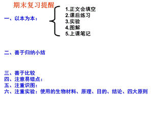 《期末复习指导》PPT课件.ppt