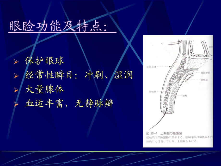 《细菌性结膜炎》PPT课件.ppt_第2页