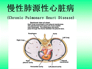 《肺心病的护理》PPT课件.ppt