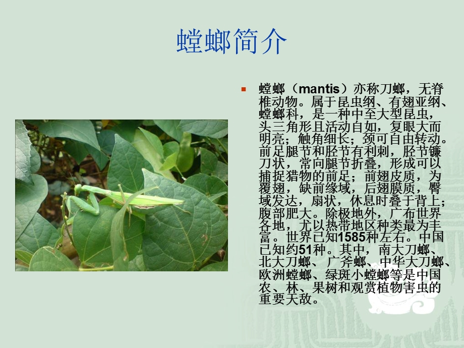 《组生物防治》PPT课件.ppt_第2页