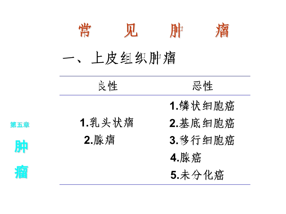 《病理重点大纲》PPT课件.ppt_第3页