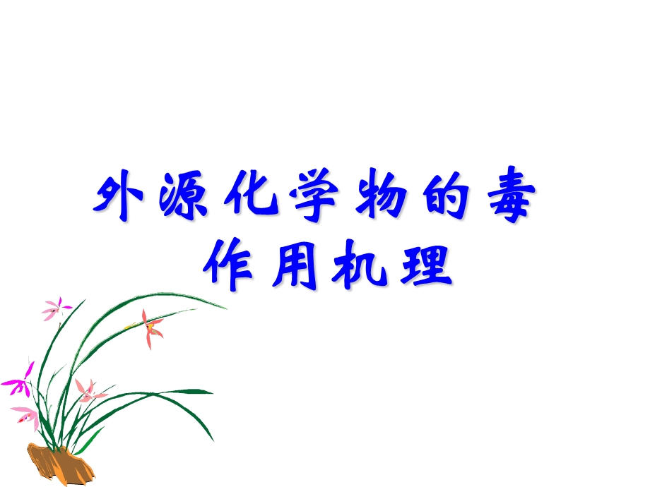 《毒作用机理》PPT课件.ppt_第1页