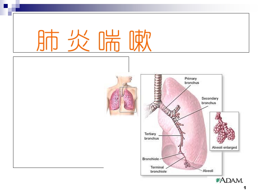 《肺炎喘嗽》PPT课件.ppt_第1页