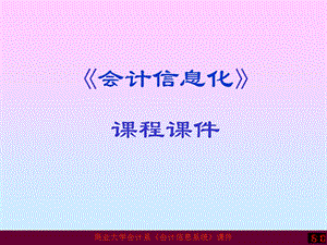 《会计信息化概述》PPT课件.ppt