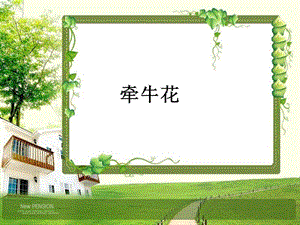 《牵牛花作文》PPT课件.ppt