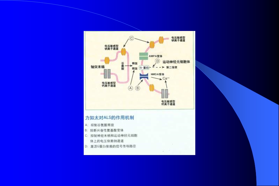 《肌萎缩侧索硬化症》PPT课件.ppt_第2页