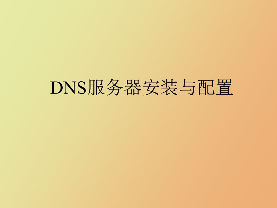 DNS服务器的安装与配置.ppt_第1页