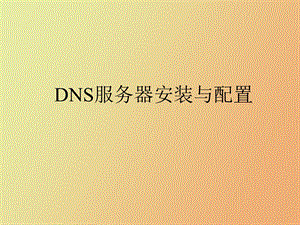 DNS服务器的安装与配置.ppt