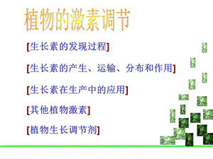 《生长素的发现过程》PPT课件.ppt