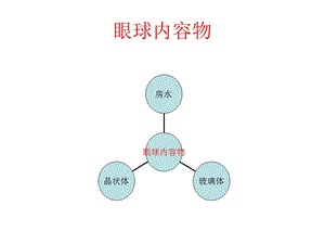 《眼球内容物》PPT课件.ppt