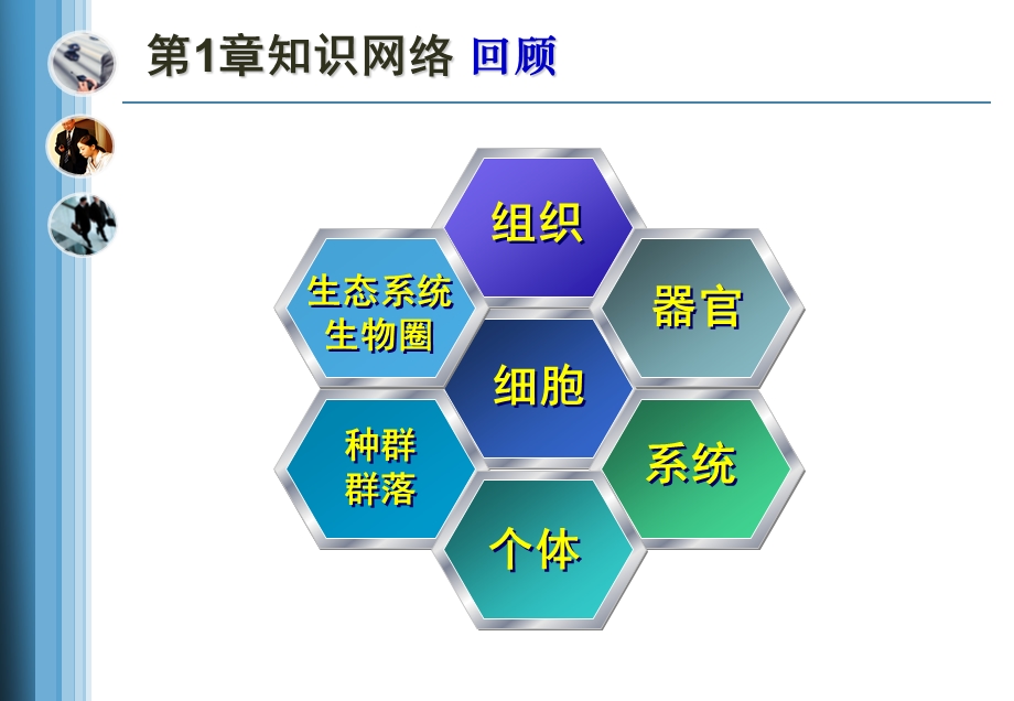 组成细胞的分子素、化.ppt_第2页