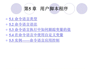 《用户脚本程序》PPT课件.ppt