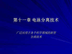 《电泳分离技术》PPT课件.ppt