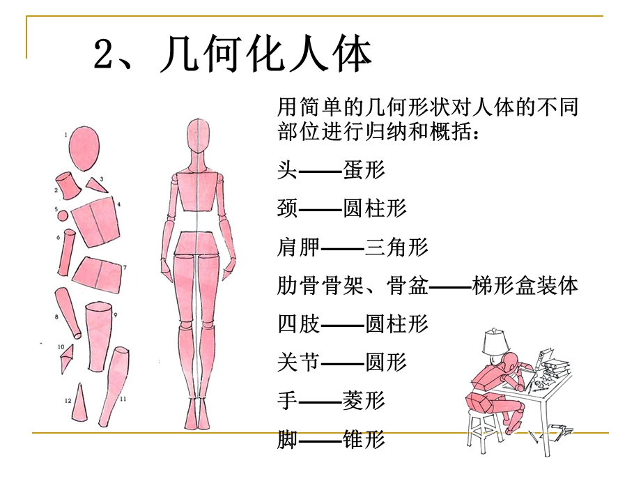 《正面人体画法》PPT课件.ppt_第3页