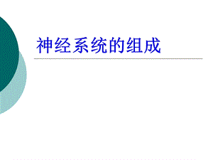 《神经系统的组成》PPT课件.ppt