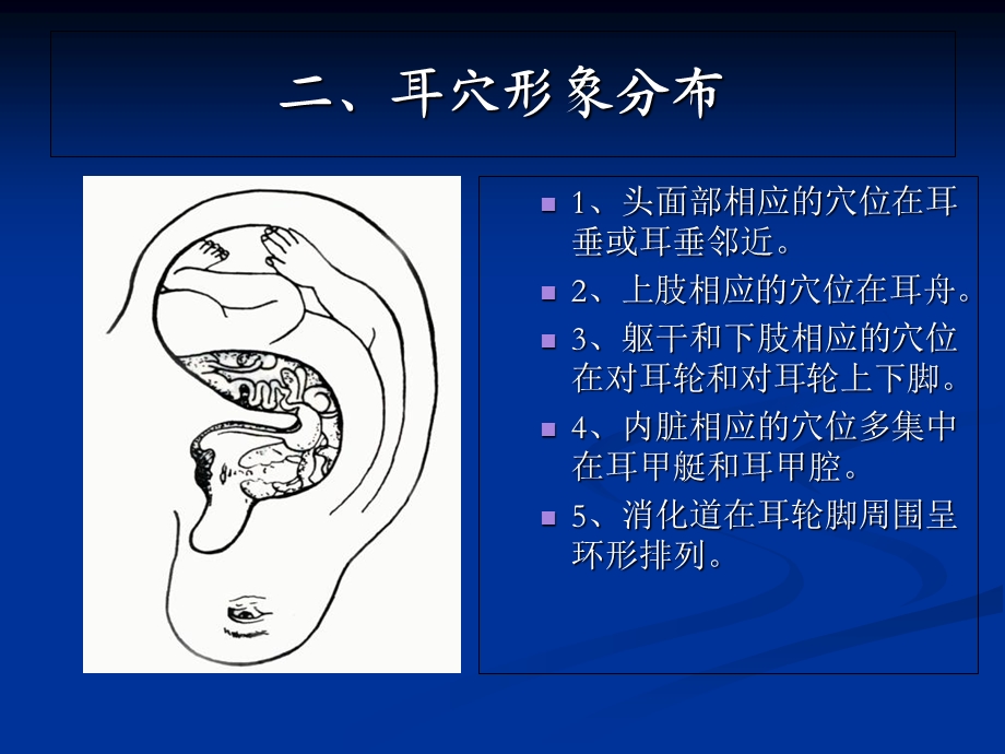 《耳穴压豆》PPT课件.ppt_第3页