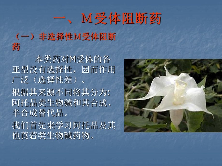 新胆碱受体阻断药(抗胆碱药).ppt_第3页