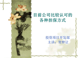 《抵押方式介绍展》PPT课件.ppt