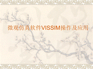 VISSIM-仿真课讲稿.ppt