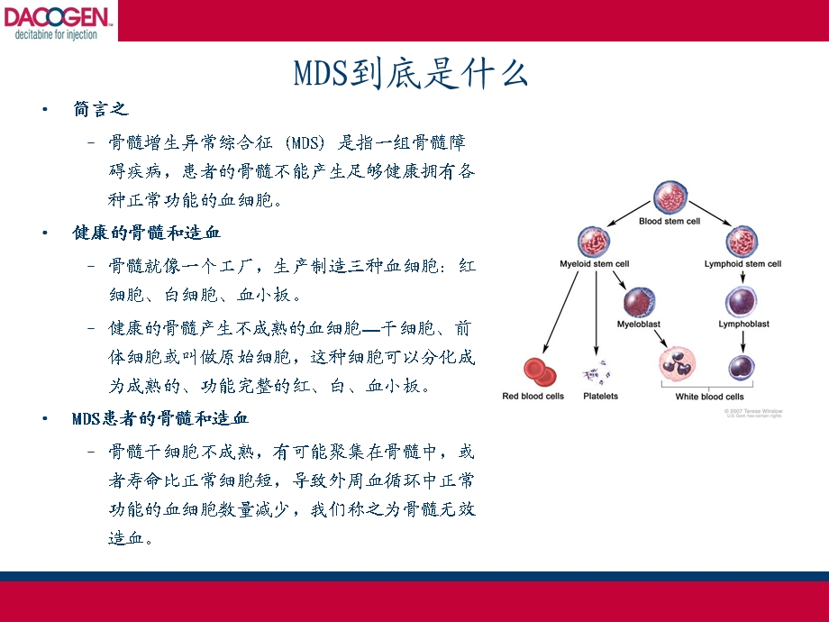 《肿瘤疾病知识》PPT课件.ppt_第3页