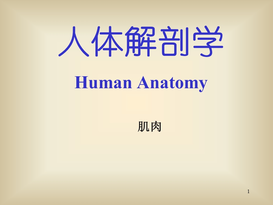 《肌肉医学解剖》PPT课件.ppt_第1页