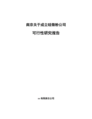 南京关于成立硅微粉公司可行性研究报告.docx