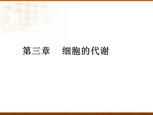 《细胞的代谢》PPT课件.ppt